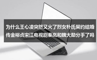 为什么王心凌突然又火了烈女朴氏契约结婚传金裕贞宋江电视剧秦岚和魏大勋分手了吗