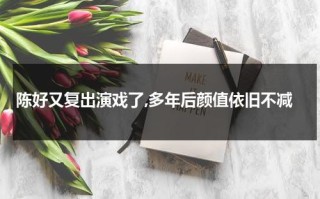 陈好又复出演戏了,多年后颜值依旧不减