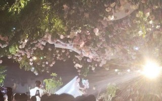 张翰现身好友婚礼，被主持人叫上台互动，40岁状态超好少年感满满