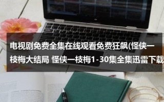 电视剧免费全集在线观看免费狂飙(怪侠一枝梅大结局 怪侠一枝梅1-30集全集迅雷下载)（怪侠一枝梅全集免费）