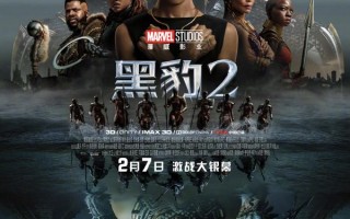黑豹2 Black Panther - Wakanda Forever