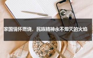 家国情怀燃烧，民族精神永不熄灭的火焰（家国情怀与民族精神）