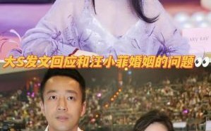大S去世引发汪小菲与马筱梅新生活变数，孩子抚养成焦点
