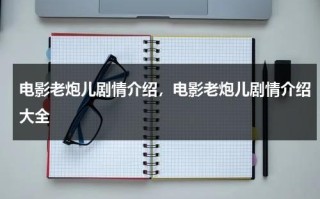 电影老炮儿剧情介绍，电影老炮儿剧情介绍大全