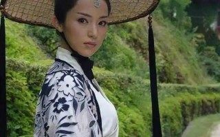 君子好逑电视剧(君子好逑电视剧高清)