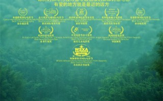 中国首部文旅诗意电影《最近的远方》屡获国际奖项华光闪耀（美华丝毯招工）