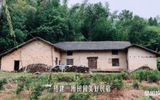 新紫新综是女版《向往的生活》？被谢娜夸旺男主，和乔欣互称宝宝
