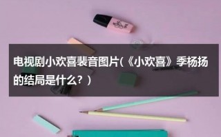 电视剧小欢喜裴音图片(《小欢喜》季杨扬的结局是什么？)（小欢喜原著季杨杨结局如何）