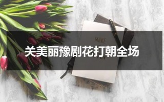 关美丽豫剧花打朝全场（豫剧关美丽简介）