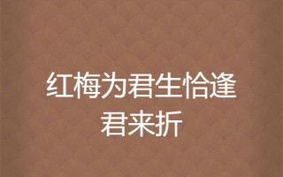 红楼残梦(红楼残梦之董小宛电影)