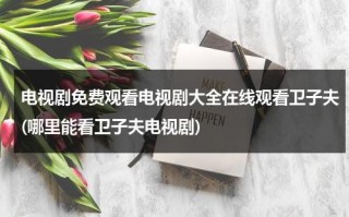电视剧免费观看电视剧大全在线观看卫子夫(哪里能看卫子夫电视剧)（卫子夫在那个电视可以看）