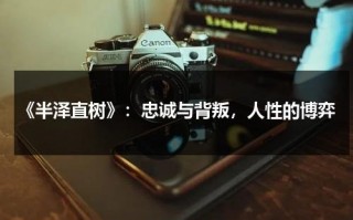 《半泽直树》：忠诚与背叛，人性的博弈（半泽直树2超清）