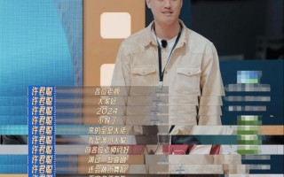 尴尬！许君聪在真人秀中透明如空气，娱乐圈的残酷真相让人咋舌！