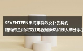 SEVENTEEN黑海事件烈女朴氏契约结婚传金裕贞宋江电视剧秦岚和魏大勋分手了吗