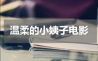 温柔的小姨子电影