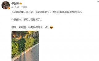 保剑锋发文疑似回应黄慧颐：编造也要编得高级一点