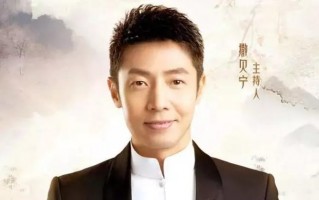 撒贝宁主持亲侄子婚礼，网友调侃像在看春晚
