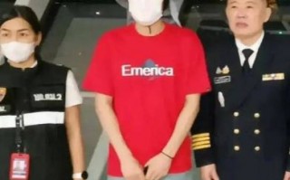 王星被放回真相揭秘：泰国被骗事件内幕全曝光
