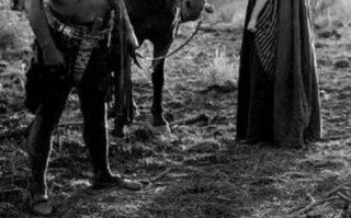 最后一个莫希干人 The Last of the Mohicans