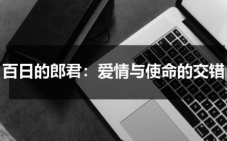 百日的郎君：爱情与使命的交错（《百日的郎君》）