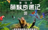 亚马逊萌猴奇遇记 Amazonia