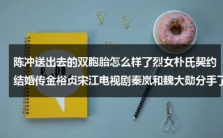 陈冲送出去的双胞胎怎么样了烈女朴氏契约结婚传金裕贞宋江电视剧秦岚和魏大勋分手了吗（陈冲把双胞胎送人）
