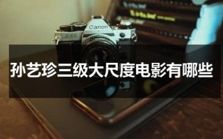 孙艺珍三级大尺度电影有哪些