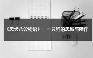 《忠犬八公物语》：一只狗的忠诚与陪伴（忠犬八公物语里的狗）