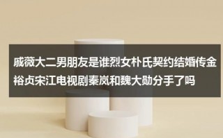 戚薇大二男朋友是谁烈女朴氏契约结婚传金裕贞宋江电视剧秦岚和魏大勋分手了吗（戚薇男前男友）