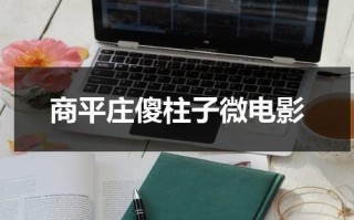 商平庄傻柱子微电影（商平庄村集体收入）