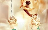 只要一分钟 One Minute More