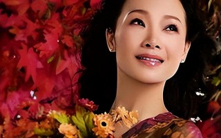 她被誉为军中花仙子，连续15年上春晚，男友患癌离世，52岁仍单身_1