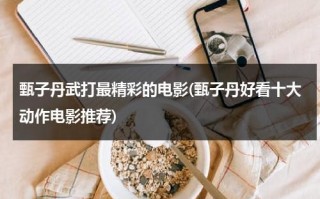 甄子丹武打最精彩的电影(甄子丹好看十大动作电影推荐)（播放甄子丹的经典武打片有哪些）