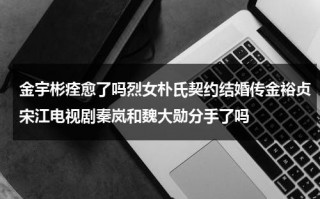 金宇彬痊愈了吗烈女朴氏契约结婚传金裕贞宋江电视剧秦岚和魏大勋分手了吗（金宇彬的韩剧全部）