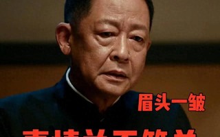 暗夜与黎明：金妍飞航中病毒，金昴昌背锅，徐巍被抓鹰隼3.0上线（暗夜与黎明内容简介）