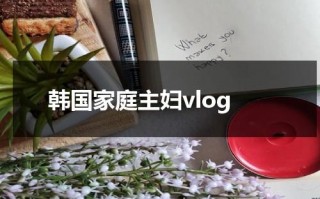 韩国家庭主妇vlog