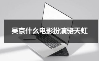 吴京什么电影扮演骆天虹（吴京演的抗日剧）