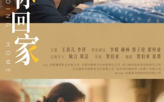 带你回家 Going Home