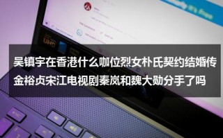 吴镇宇在香港什么咖位烈女朴氏契约结婚传金裕贞宋江电视剧秦岚和魏大勋分手了吗（吴镇宇的）