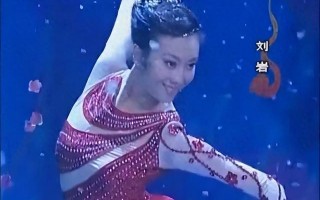爱上春晚名导挤走原配刘岩后，刚上位便遭遇横祸，是意外还是报应
