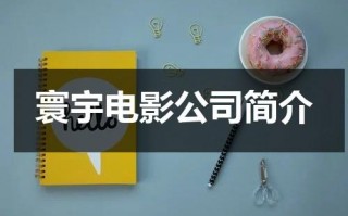 寰宇电影公司简介（寰宇影院是哪个院线的）