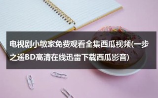 电视剧小敏家免费观看全集西瓜视频(一步之遥BD高清在线迅雷下载西瓜影音)（电视剧《小敏家》）