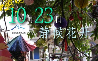 《胡阿姨的花园》曝预告 10.23全国艺联专线上映 《胡阿姨的花园》曝预告 10.23全国艺联专线上映