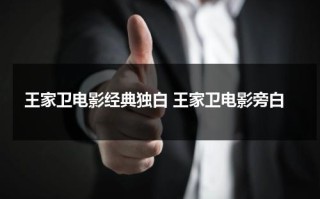 王家卫电影经典独白 王家卫电影旁白