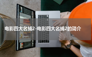 电影四大名捕2-电影四大名捕2的简介