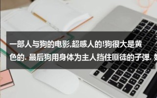 一部人与狗的电影,超感人的!狗很大是黄色的. 最后狗用身体为主人挡住匪徒的子弹. 好像是欧美电影,求电影名
