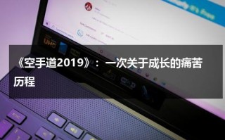 《空手道2019》：一次关于成长的痛苦历程（空手道成绩）