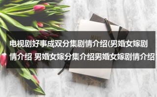 电视剧好事成双分集剧情介绍(男婚女嫁剧情介绍 男婚女嫁分集介绍男婚女嫁剧情介绍1~25集全集)（好事成双电视剧全集）