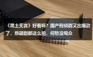 《黑土无言》好看吗？国产刑侦剧又出爆款了，悬疑剧都这么拍，何愁没观众