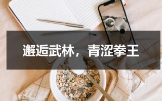 邂逅武林，青涩拳王